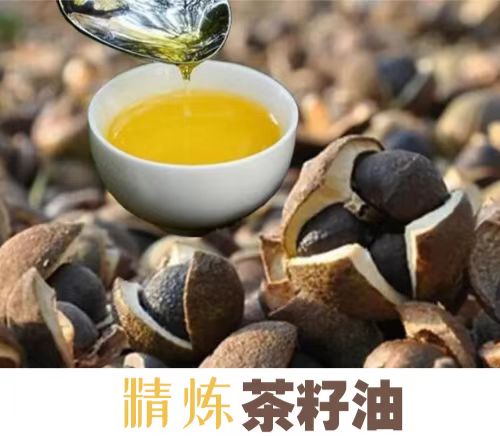 茶籽油精煉云顶集团游戏app