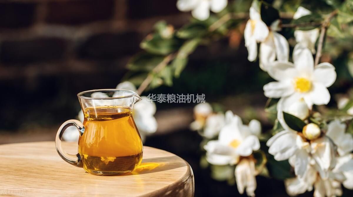 茶籽油提取加工，云顶国际糧油提供周到的生產方案